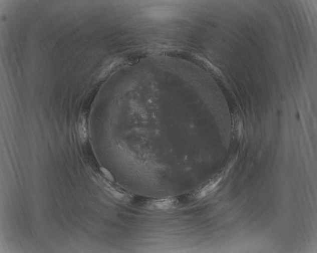 X0000068890479200605081324