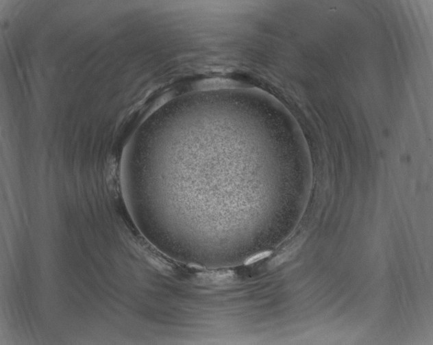 X0000068890480200605081324