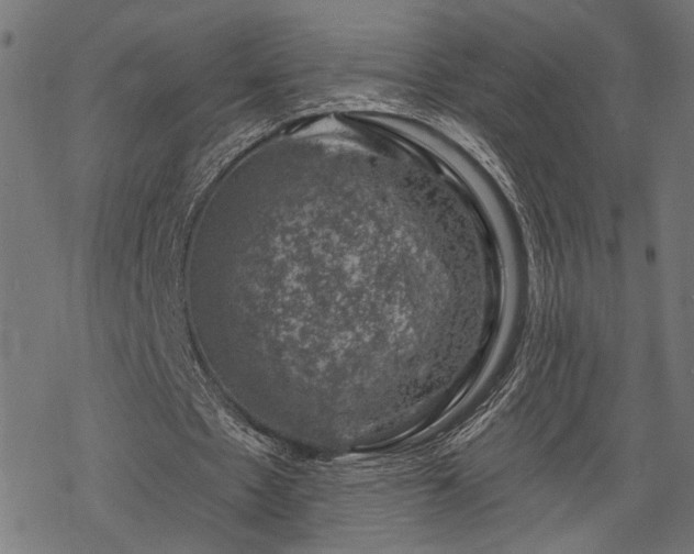 X0000068890481200605081323