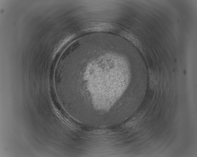 X0000068890482200605081323