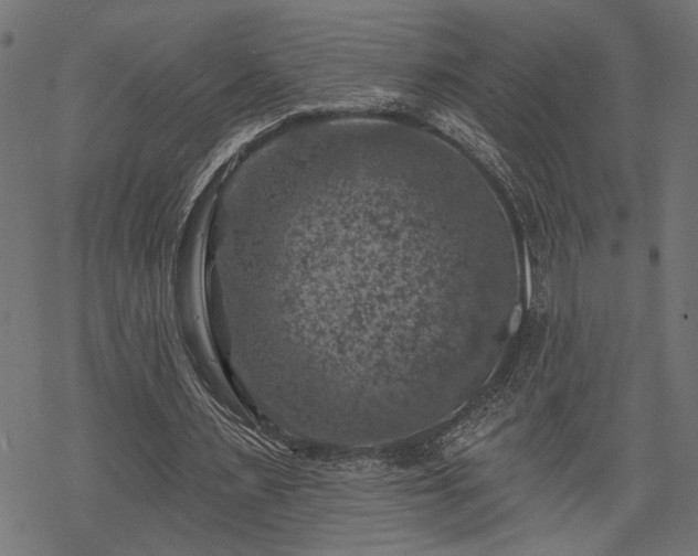 X0000068890483200605081323