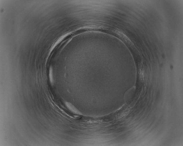 X0000068890484200605081323