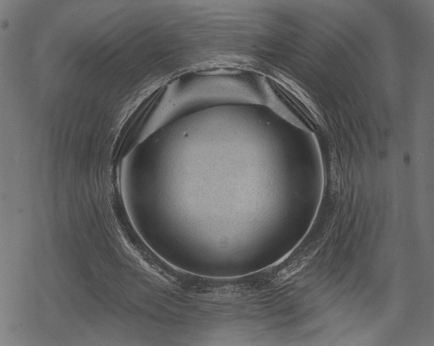 X0000068890485200605081323