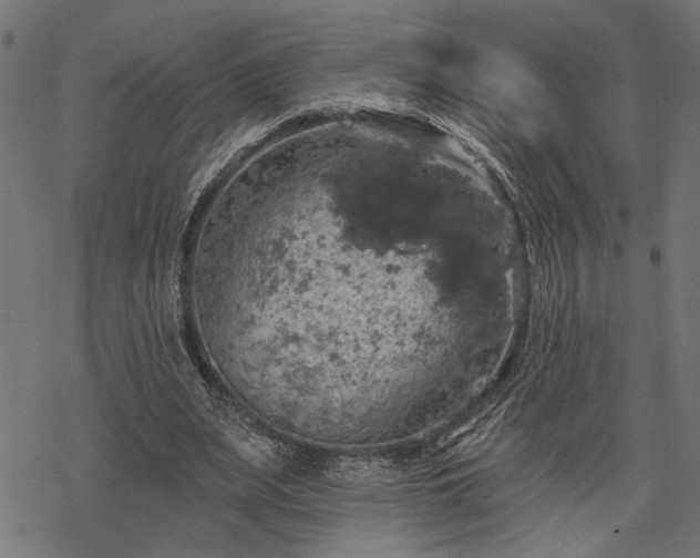 X0000068890487200605081323