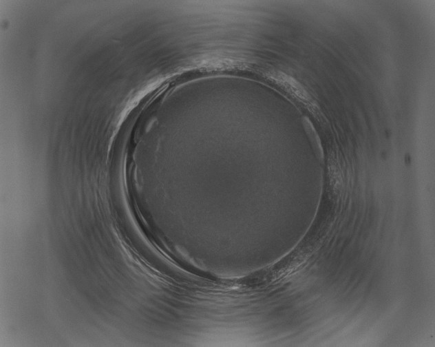 X0000068890488200605081323