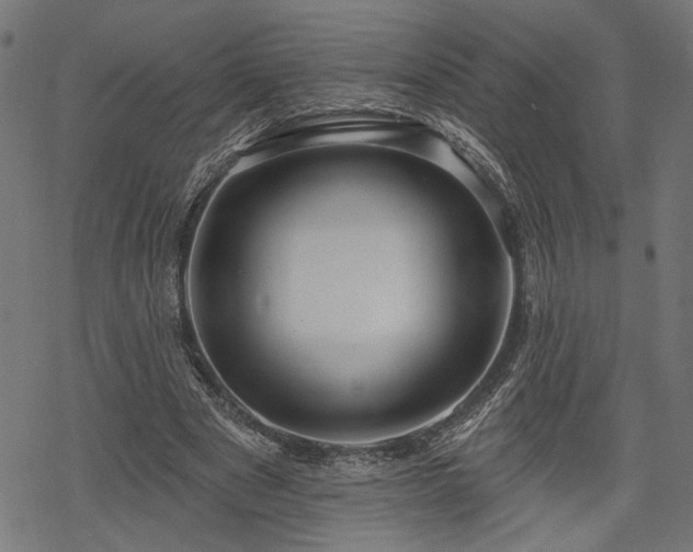 X0000068890489200605081323