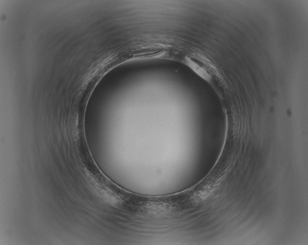 X0000068890490200605081323