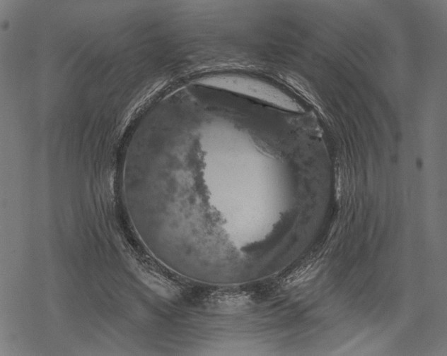 X0000068890491200605081323