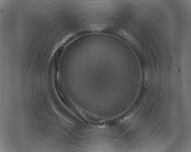 X0000068890492200605081323