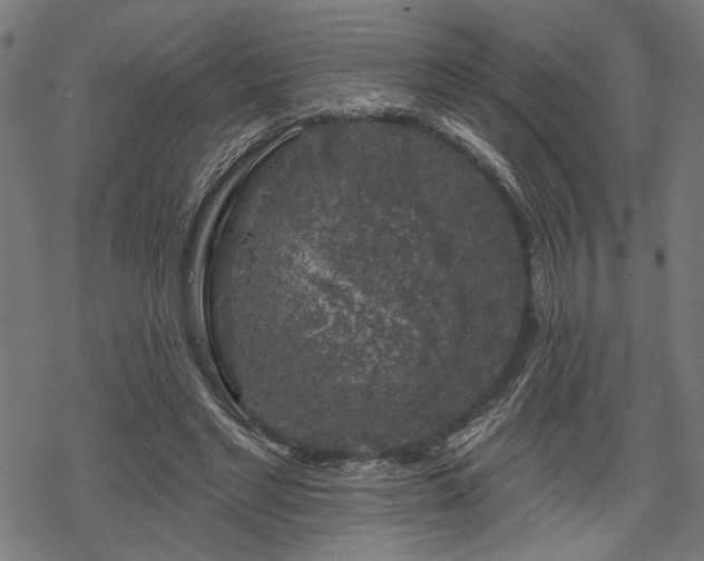 X0000068890493200605081323