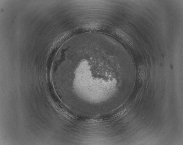 X0000068890494200605081323