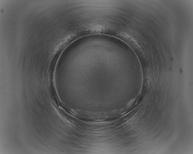 X0000068890496200605081323