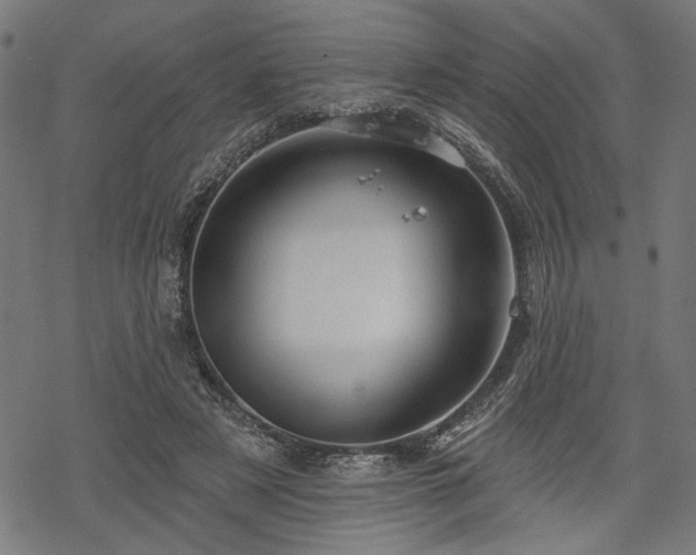 X0000068890497200605081323