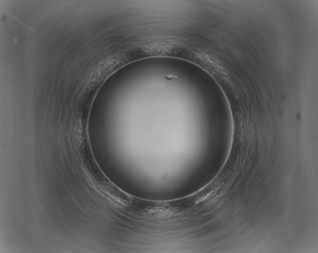 X0000068890498200605081323