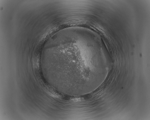 X0000068890499200605081323