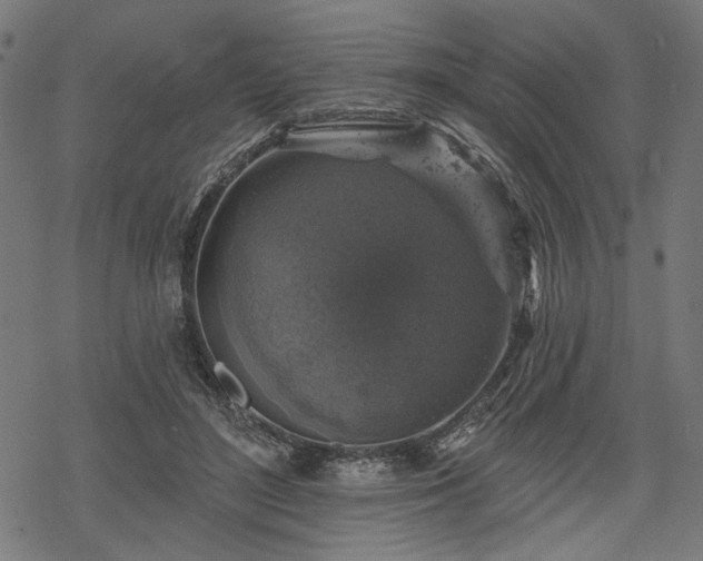 X0000068890500200605081323