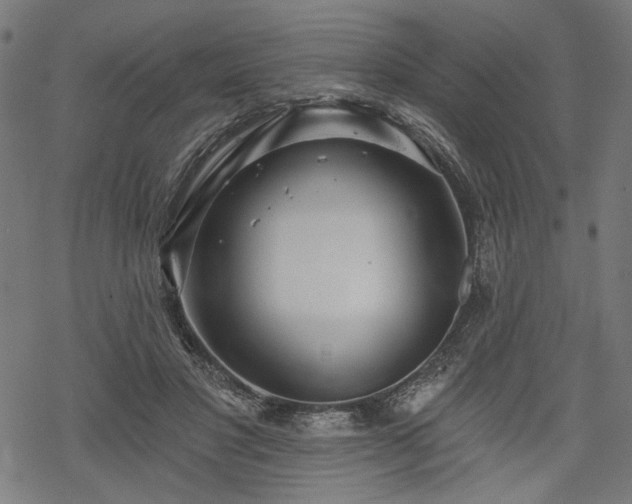 X0000068890501200605081323