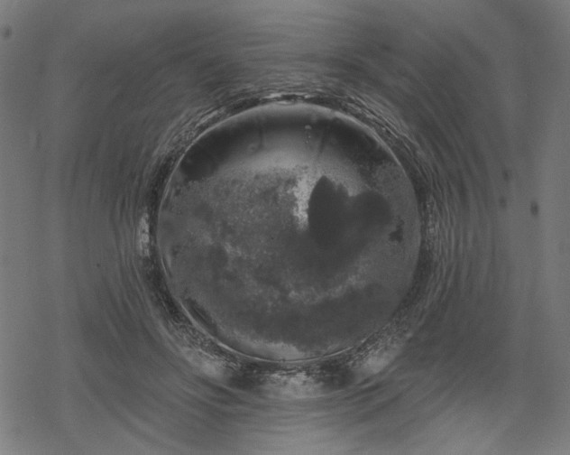 X0000068890502200605081323