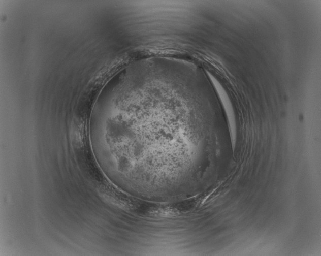 X0000068890503200605081323