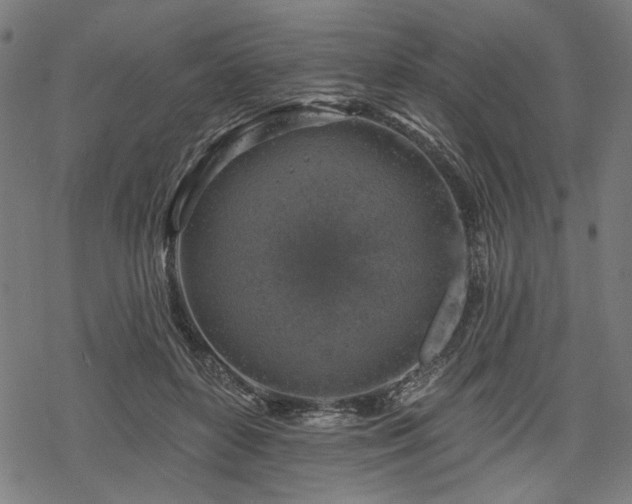 X0000068890504200605081323