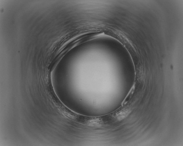 X0000068890505200605081323