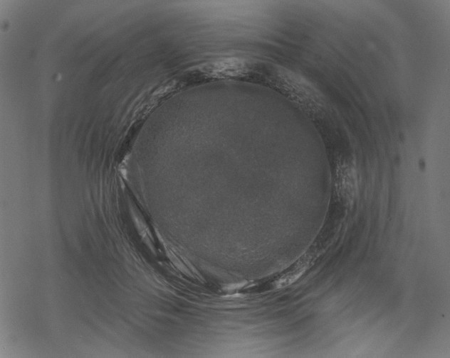 X0000068890506200605081323