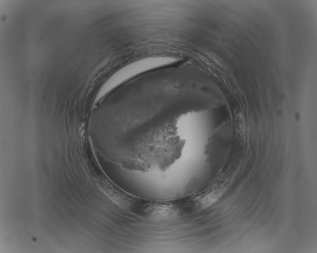 X0000068890507200605081323