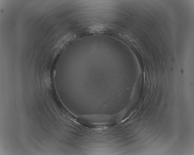 X0000068890508200605081323