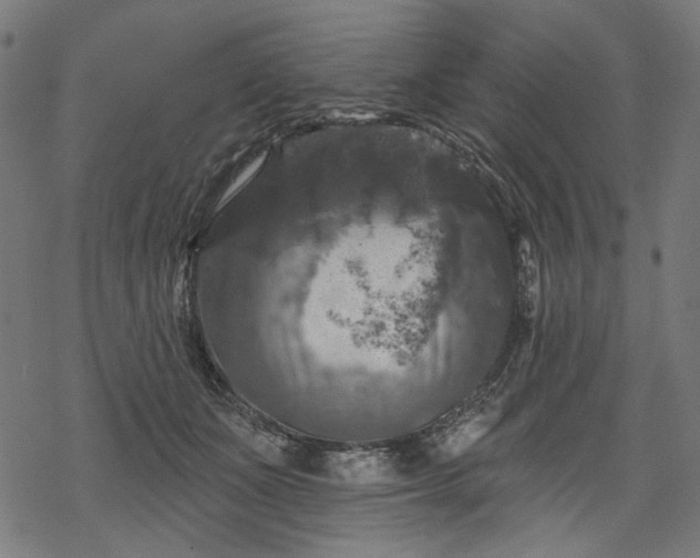 X0000068890511200605081323