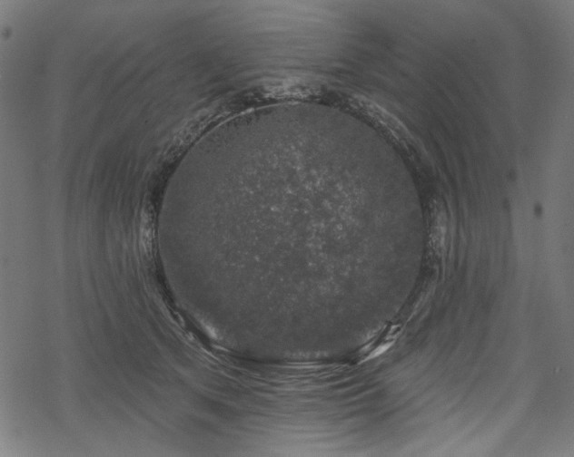 X0000068890513200605081323