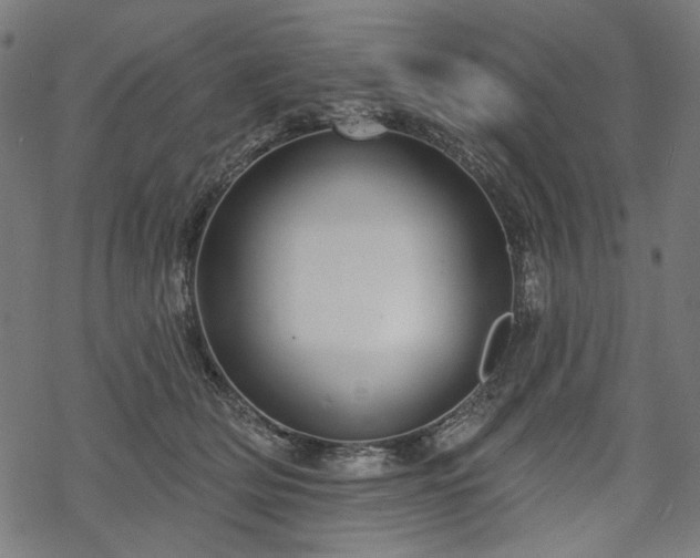 X0000068890514200605081323