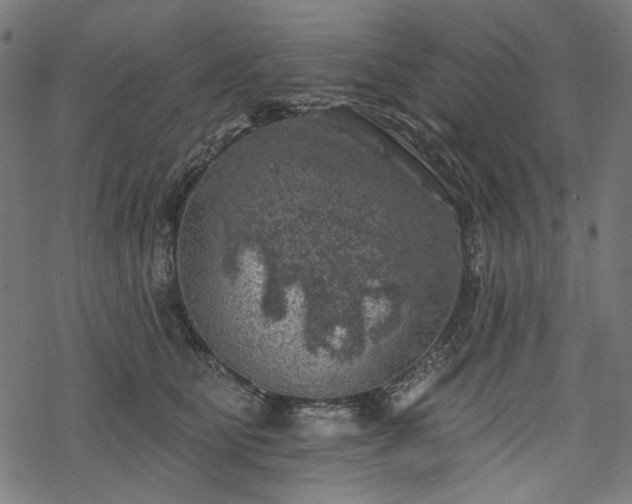 X0000068890515200605081323