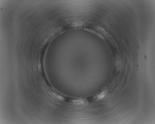 X0000068890516200605081323