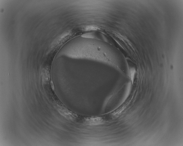 X0000068890517200605081323