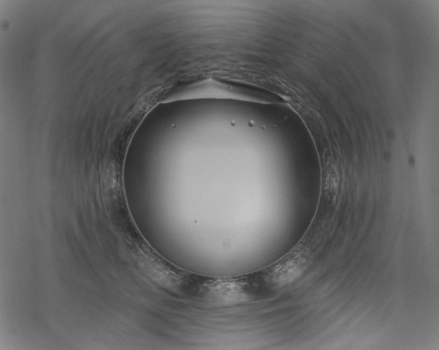 X0000068890518200605081323