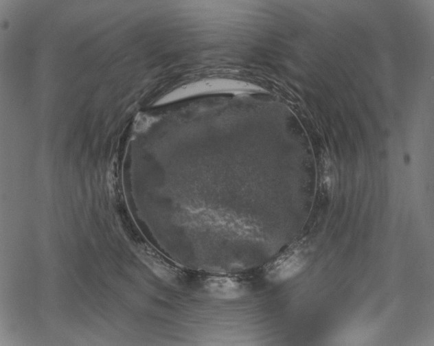 X0000068890519200605081323