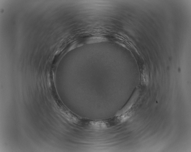 X0000068890520200605081323