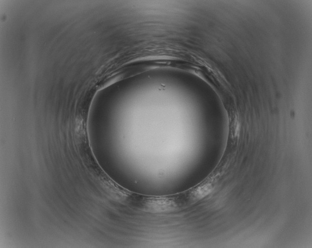 X0000068890521200605081323