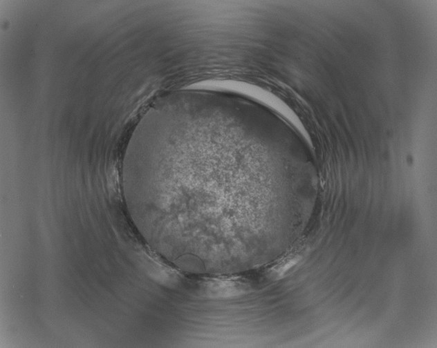 X0000068890523200605081323