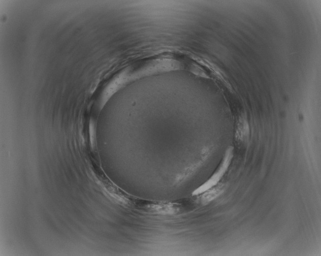 X0000068890524200605081323