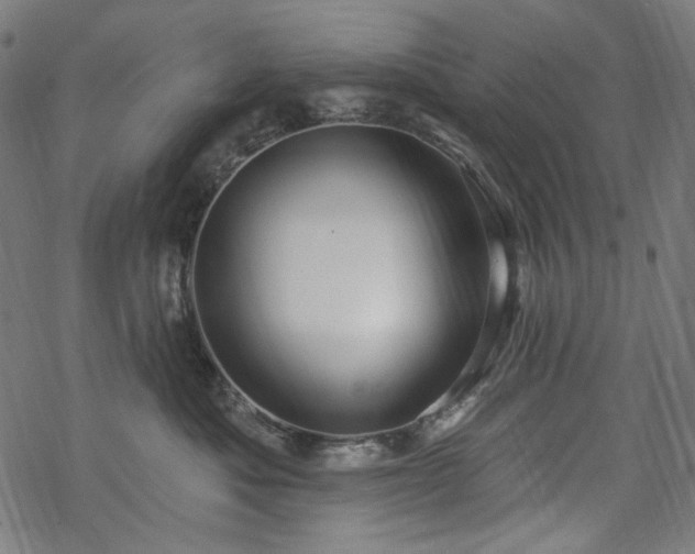 X0000068890525200605081323