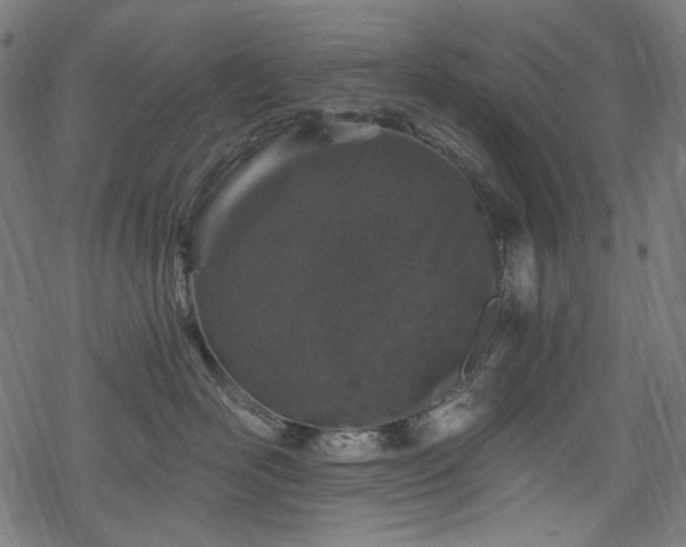 X0000068890526200605081323