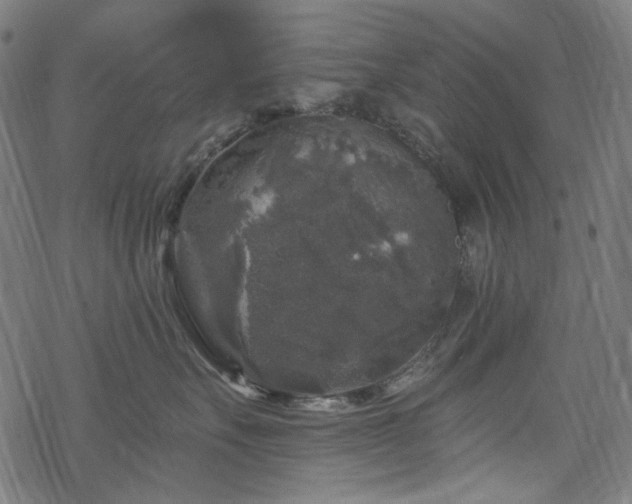 X0000068890527200605081323