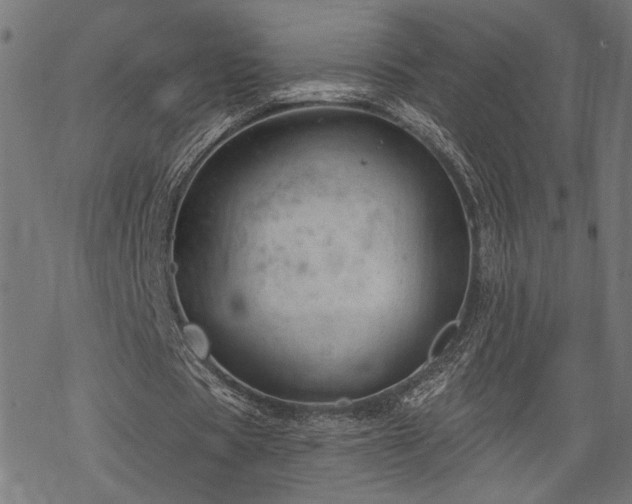 X0000068890529200605081322