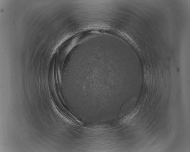 X0000068890530200605081322