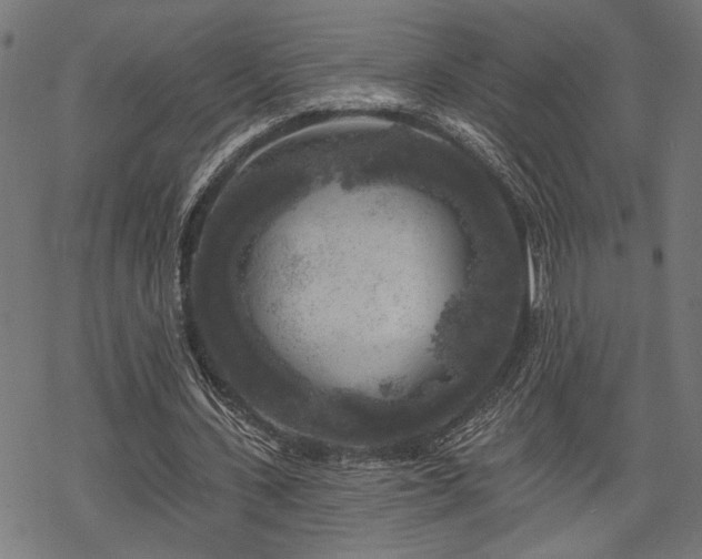 X0000068890531200605081322