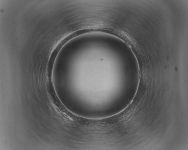 X0000068890532200605081322