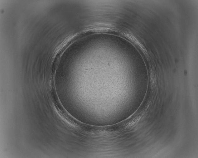 X0000068890533200605081322