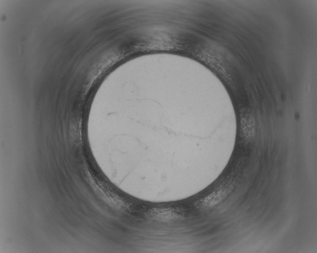 X0000068890534200605081322