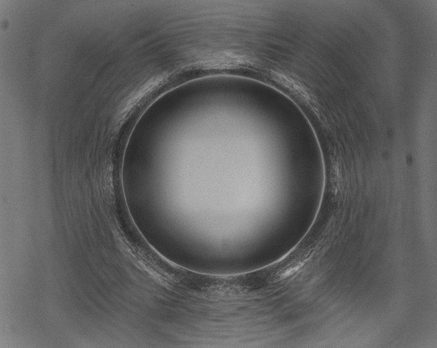 X0000068890535200605081322